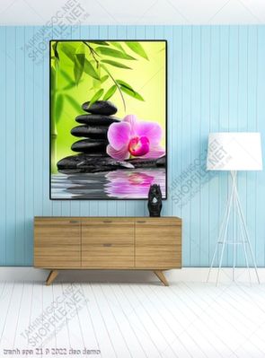 tranh spa 21 9 2022 dao