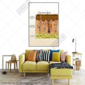 tranh spa cau tao da dep