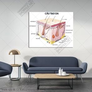 tranh spa da 12 2 2022 quyen da