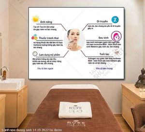 tranh spa duong sinh 14 10 2022 ho