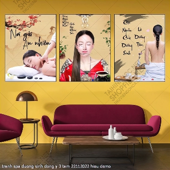 tranh spa duong sinh dong y 3 tam 22112022 hieu