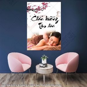 tranh spa duong sinh dong y thuoc bac  24112022 phu