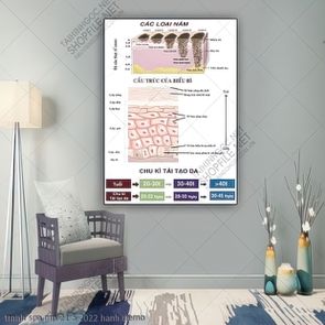 tranh spa mp 21 5 2022 hanh