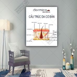 tranh spa treo tuong 21 5 2022 hanh