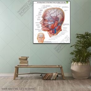 tranh y khoa spa y hoc 12 1 ho