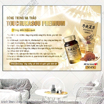 tranh thuoc dong trung ha thao 25022023 vy