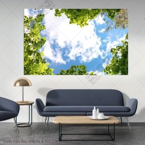 tranh tran bau troi 26 1 2022