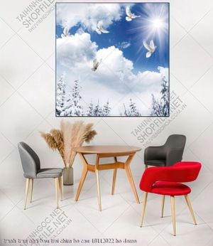 tranh tran nha bau troi chim bo cau 18112022 ho