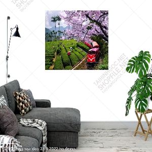 tranh tuong hoa dao 23 9 2022 ho