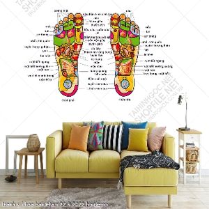 tranh y khoa ban chan 22 9 2022 ho