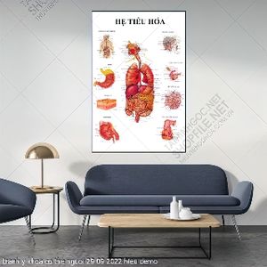 tranh he tieu hoa y khoa co the nguoi 29 09 2022 hieu