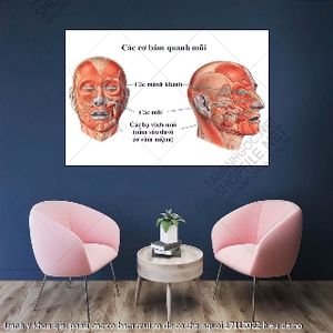 tranh y khoa giai phau cac co bam mui so do co the nguoi 17112022 hieu