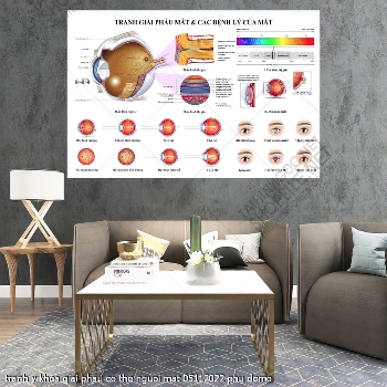 tranh y khoa nhan khoa giai phau co the nguoi mat 05112022 phu