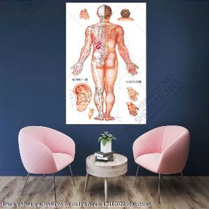 tranh y khoa giai phau so do co the nguoi 17112022 phu