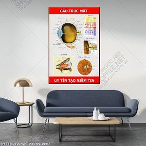 tranh nhan khoa y khoa mat 12 10 phu