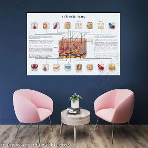 tranh y khoa spa 1 10 2022 hieu