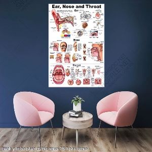 tranh y khoa tai mui hong te bo phan co the nguoi 28 9 phu