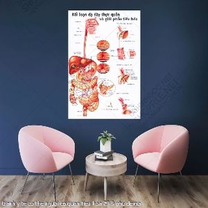 tranh y khoa y te co the nguoi co quan tieu hoa 29 9 phu