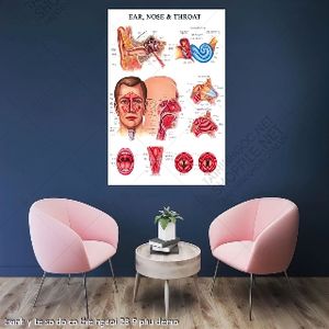 tranh tui mui hong y khoa y te so do co the nguoi 28 9 phu