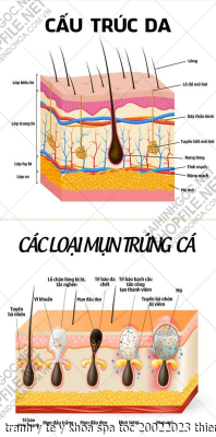 tranh y te y khoa spa toc 20022023 thien