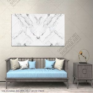 van da trang den 05122022 quyen