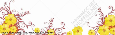 vanh mai vang dep mat file vector